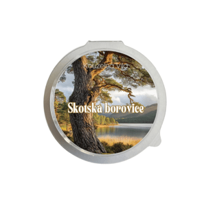 Kouzelná Víla - SKOTSKÁ BOROVICE  Sójový vonný vosk do aromalampy 20g