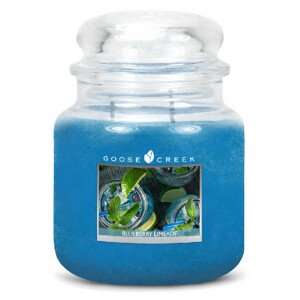 Goose Creek - Borůvková limonáda  Svíčka ve skle 450 g