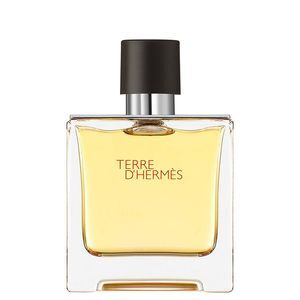 Hermès TERRE D'HERMES Parfémovaná voda pro muže