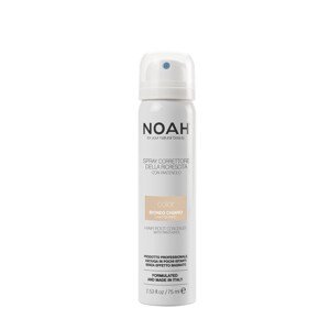 NOAH HAIR CARE Korektor vlasových kořínků