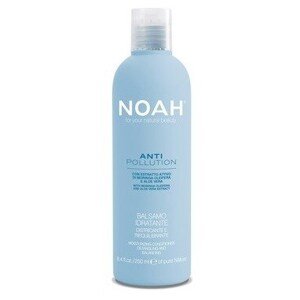 NOAH HAIR CARE Čisticí a hydratační šampon s extraktem z aloe a moringovým olejem